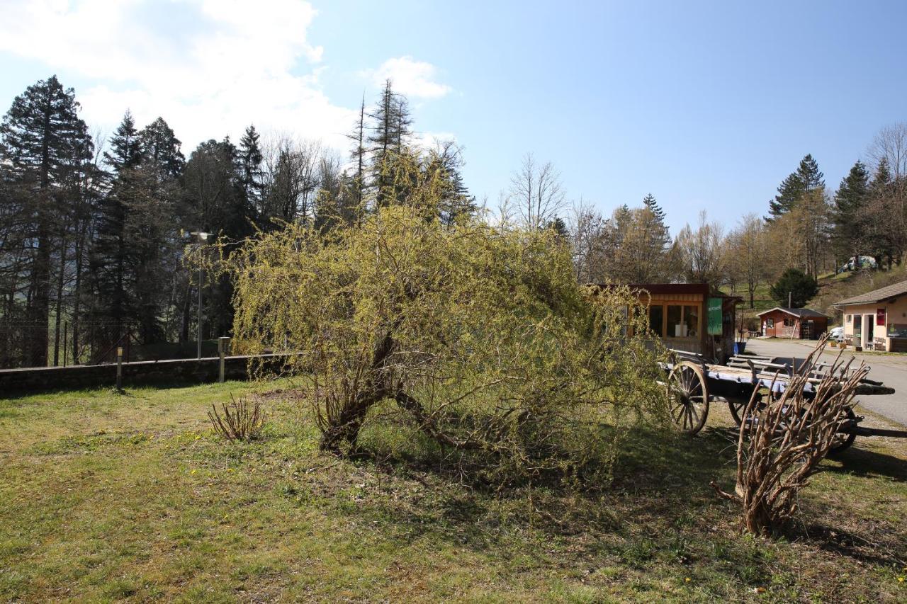 Saint-Martin-en-Vercors Le Veymontヴィラ エクステリア 写真